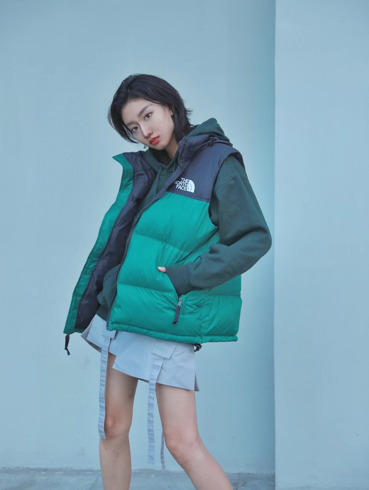 The North Face 1996 Down Vest (Classic Edition)