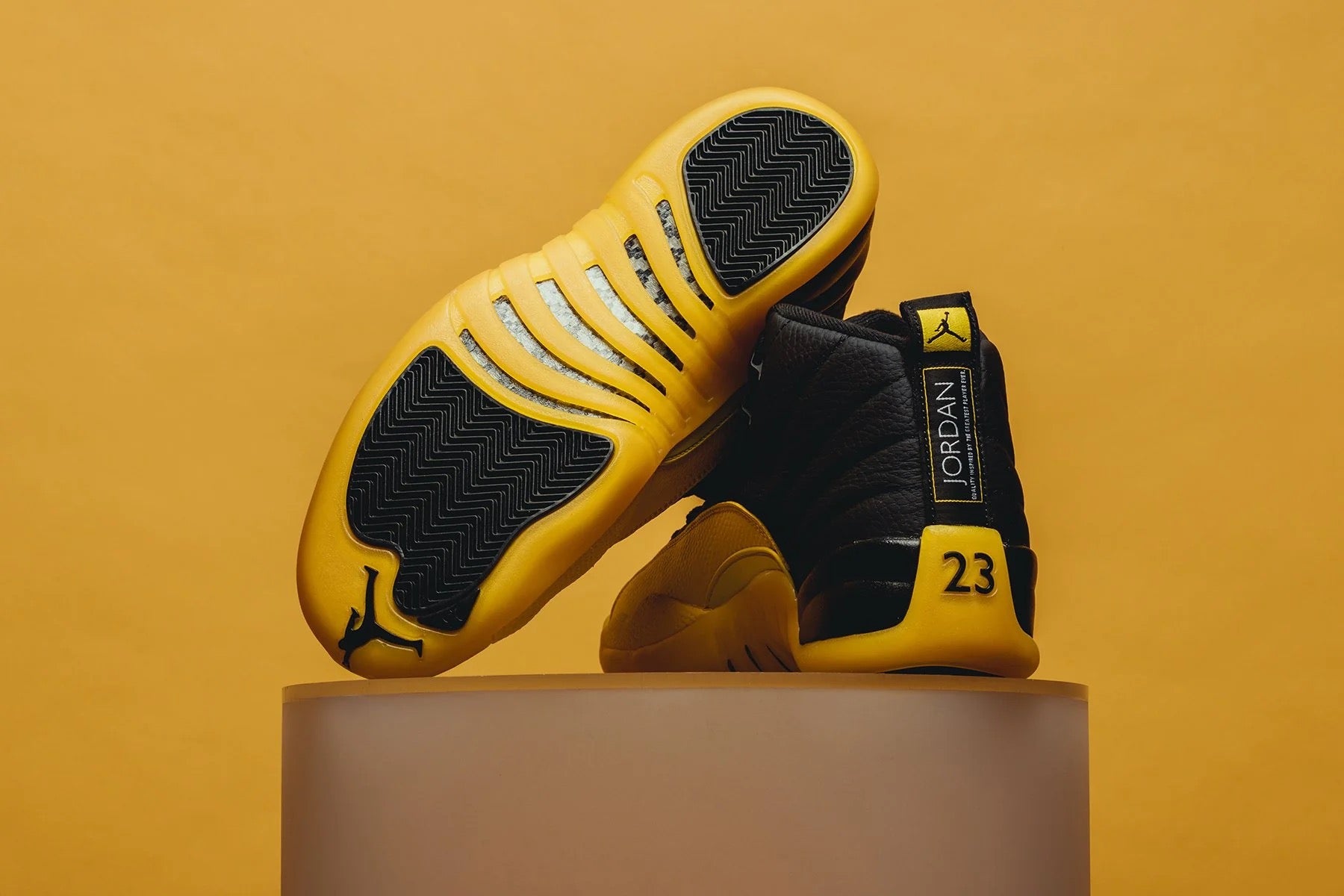 Jordan Air 12
